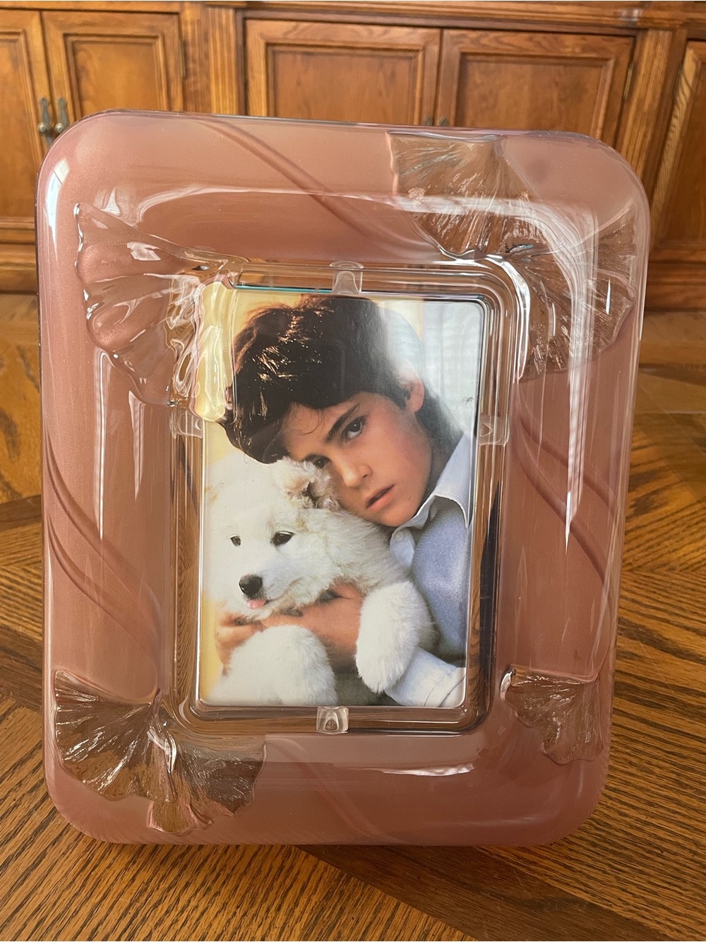 Vintage Mikasa “Innocence” Pink Crystal Frosted Picture Frame 10 1/4” NWT